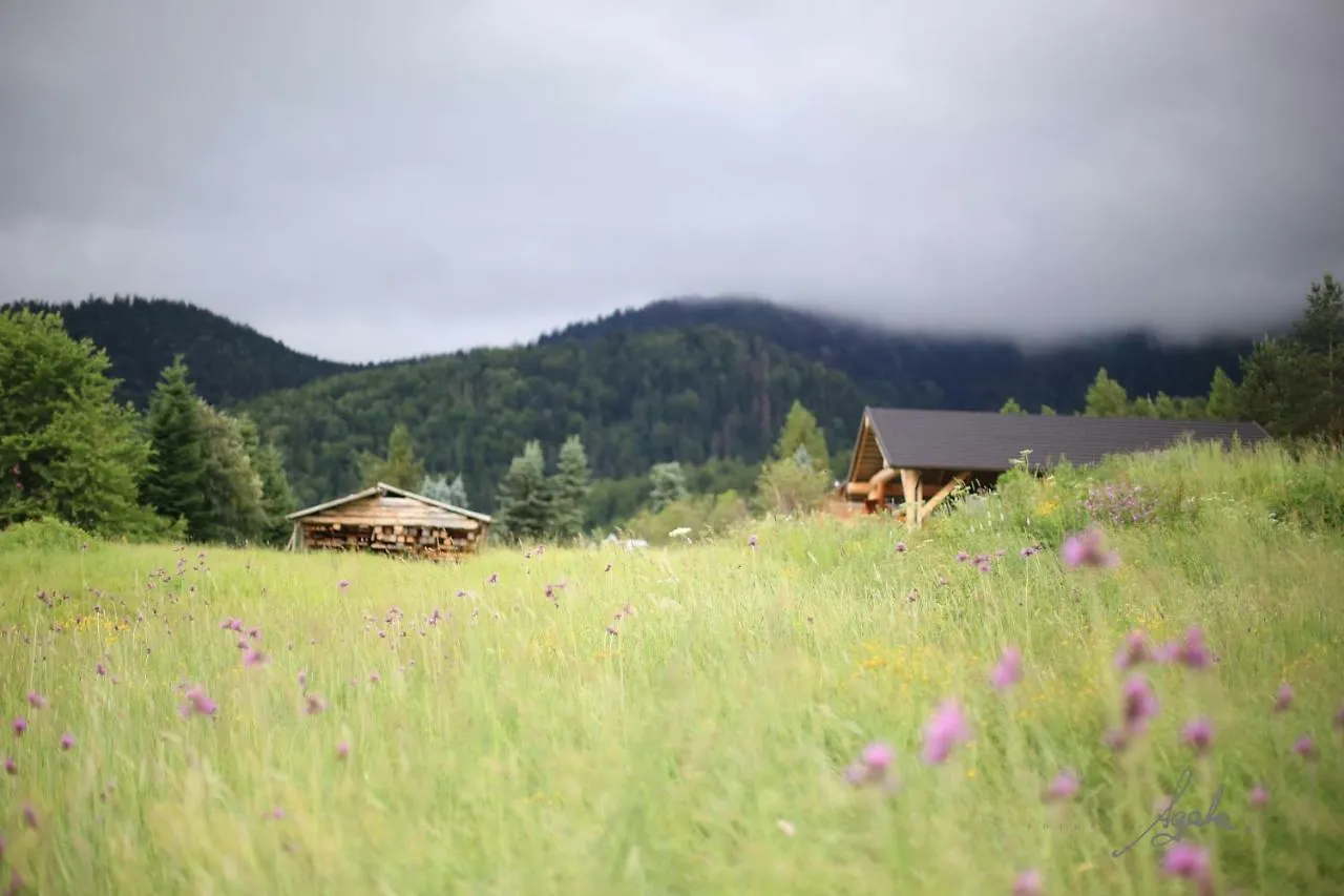 Apartament Królewski – Zakopane 0*,